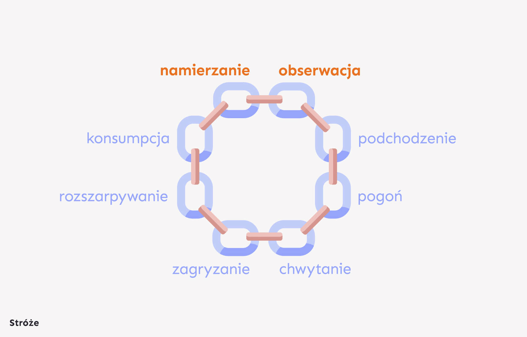 Łańcuch łowiecki - Stróże